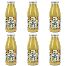 6 x Sok z Imbiru NFC Bio 250 ml - Bio Planet