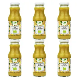 6 x Sok z Imbiru NFC Bio 250 ml - Bio Planet