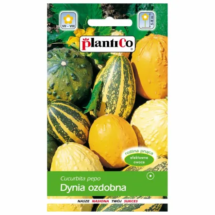 Dynia Ozdobna Mix Nasiona 2 g - PlantiCo