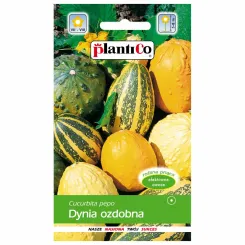 Dynia Ozdobna Mix Nasiona 2 g - PlantiCo