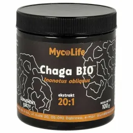 Chaga BIO 100 g - MycoLife