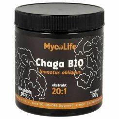 Chaga BIO 100 g - MycoLife