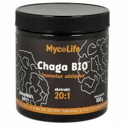 Chaga BIO 100 g - MycoLife