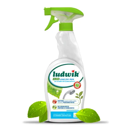 Ekologiczny Płyn do Mycia Kabin Prysznicowych 750 ml Ludwik