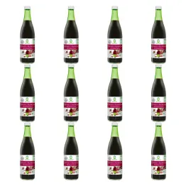 12 x Zakwas z Buraków Kiszonych Bio 500 ml - BioFood