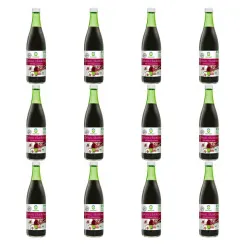 12 x Zakwas z Buraków Kiszonych Bio 500 ml - BioFood