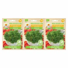 3 x Rzeżucha BIO Nasiona na Kiełki 20 g - Toraf