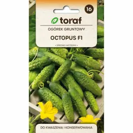 Ogórek OCTOPUS F1 Nasiona 1 g - Toraf
