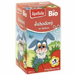 Herbatka Dla Dzieci Dzika Róża z Truskawką Bio 40 g (20x 2 g) - Apotheke