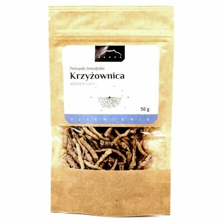Krzyżownica Korzeń Cały (Polygala Tenuifolia) 50 g - Nanga