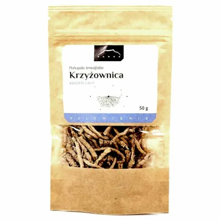 Krzyżownica Korzeń Cały (Polygala Tenuifolia) 50 g - Nanga