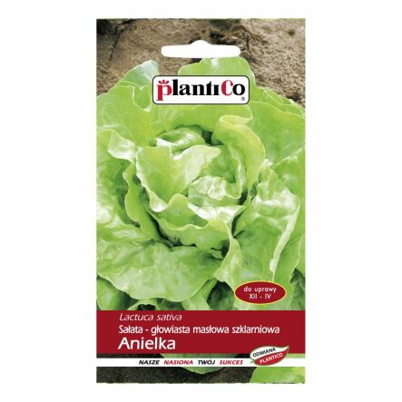 Sałata Głowiasta Masłowa Szklarniowa - Anielka Nasiona 1 g - PlantiCo - Przecena Krótka Data Minimalnej Trwałości