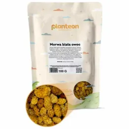 Morwa Biała Owoc 100 g - Planteon