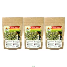 3 x Nasiona na Kiełki Rzodkiewka China Rose 100 g - Toraf