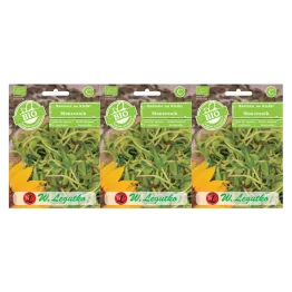 3 x Bio Nasiona Na Kiełki Słonecznik 40 g - Legutko