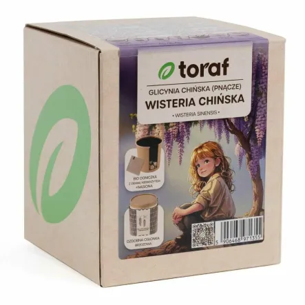 Zestaw do Wysiewu Glicynia (Wisteria) Chińska (Bio Doniczka z Ziemią i Keramzytem + Nasiona) - Toraf