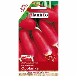 Rzodkiewka Opolanka Nasiona 12 g - PlantiCo