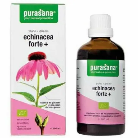 Echinacea Forte+ (Jeżówka Purpurowa) Krople Bio 100 ml - Purasana