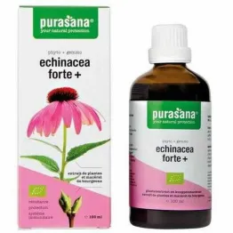 Echinacea Forte+ (Jeżówka Purpurowa) Krople Bio 100 ml - Purasana