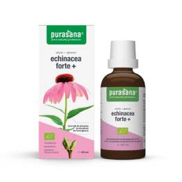 Echinacea Forte Krople Bio 100 ml - Purasana