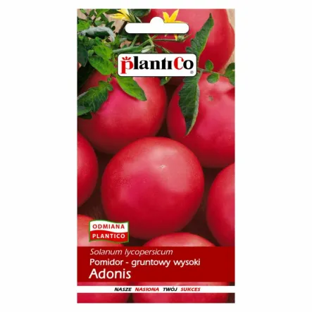 Pomidor Gruntowy Wyspoki - Adonis Nasiona 0,5 g - PlantiCo