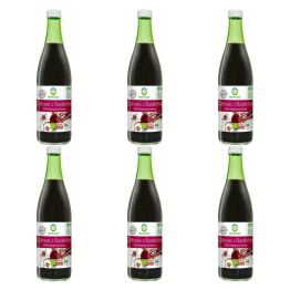 6 x Zakwas z Buraków Kiszonych Bio 500 ml - BioFood