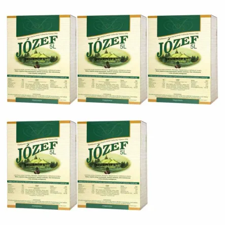 Zestaw 5 x Woda Lecznicza 5 l JÓZEF - Uzdrowisko Wysowa