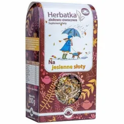 NA JESIENNE SŁOTY Herbatka Ziołowo - Owocowa 100 g - Natura Wita