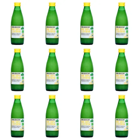12 x Sok z cytryn Bio 250 ml Ekowital