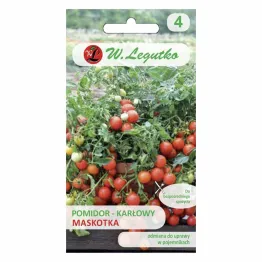 Pomidor Karłowy - Maskotka Nasiona 0,5 g - Legutko