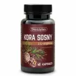 Kora Sosny z L-argininą Układ Krwionośny Krążenie 60 Kapsułek - Skoczylas