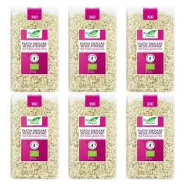 6 x Płatki Owsiane Bezglutenowe Bio 600 g - Bio Planet