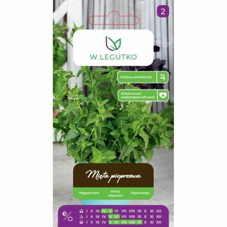 Mięta Pieprzowa Nasiona 0,1 g - Legutko