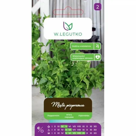 Mięta Pieprzowa Nasiona 0,1 g - Legutko