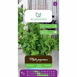 Mięta Pieprzowa Nasiona 0,1 g - Legutko