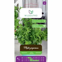 Mięta Pieprzowa Nasiona 0,1 g - Legutko