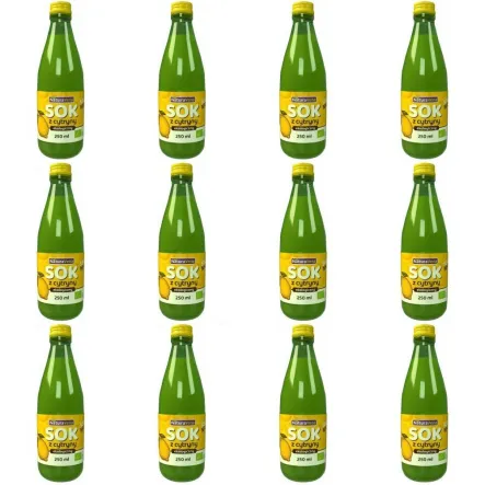 12 x Sok z Cytryny NFC Bio 250 ml - NaturAvena