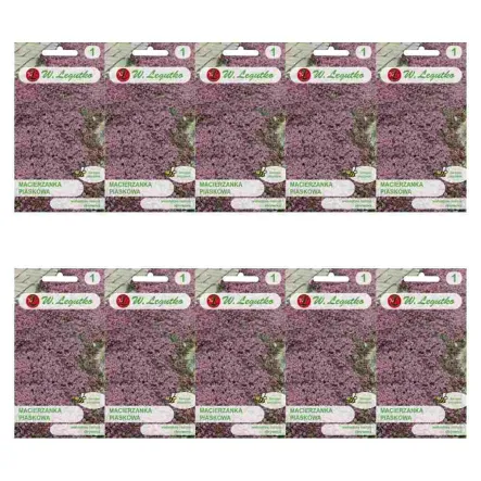 10 x Macierzanka Piaskowa Lilaróżowa Nasiona 0,1 g - Legutko