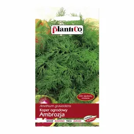 Koper Ogrodowy Ambrozja - Nasiona 5 g - PlantiCo
