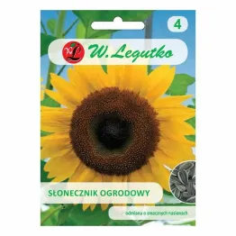 Słonecznik Ogrodowy Jadalny Nasiona Do Wysiewu 10 g - Legutko