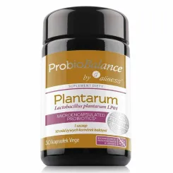 ProbioBalance Lactobacillus Plantarum LP01 10 mld. Żywych Komórek Bakterii 30 Kapsułek - Aliness