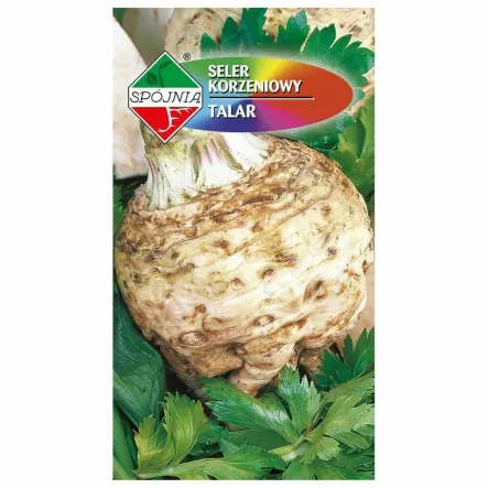 Seler Korzeniowy -Talar Nasiona 1 g - Spójnia