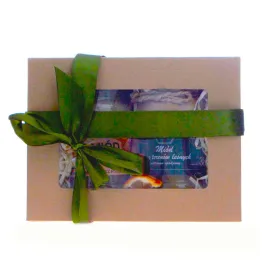 Zestaw Prezentowy: Miód z Terenów Leśnych 380 g + Miód z Propolisem 400 g - Miody Dworskie