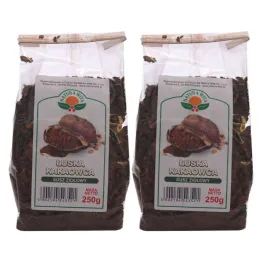 Zestaw 2 x Kakaowiec Łuska 250 g - Natura Wita - Łuski Kakaowe - Kakao