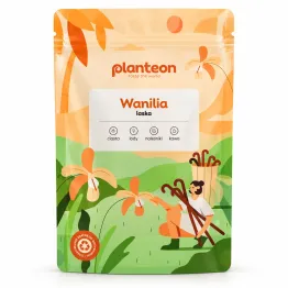 Laska Wanilii 1 Sztuka - Planteon