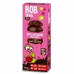 Przekąska Jabłkowo - Malinowa w Ciemnej Belgijskiej Czekoladzie 30 g - Bob Snail