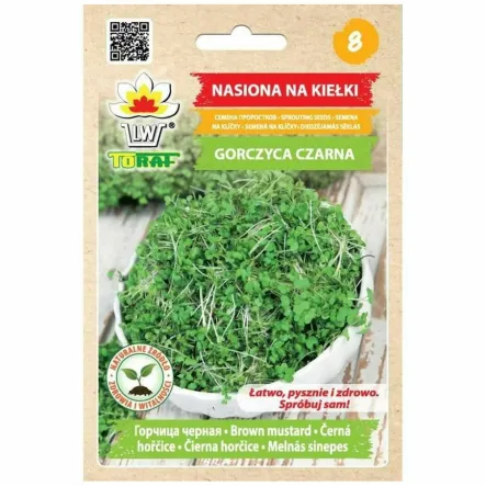 Nasiona na Kiełki Gorczyca CZARNA 20 g - Toraf