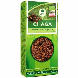 Guz Brzozy "Chaga" EKO 50 g - Dary Natury