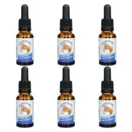 6 x Witamina K2MK7 Krople NattoFit 20 ml - Proved