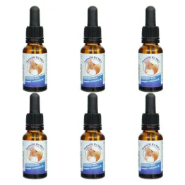 6 x Witamina K2MK7 Krople NattoFit 20 ml - Proved
